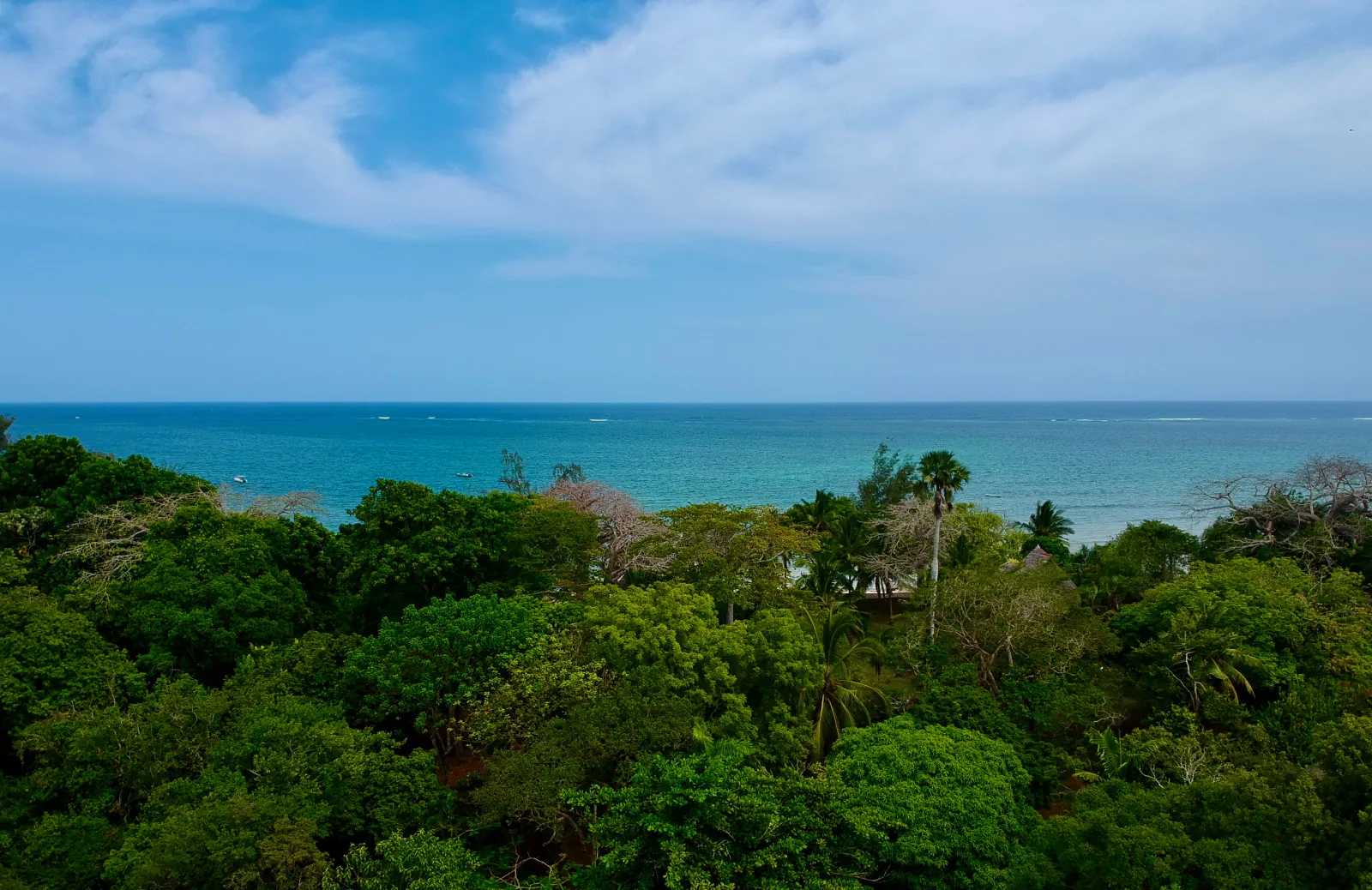 Pintadera Beach Hotel Diani Beach Aerial View